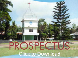 prospectus